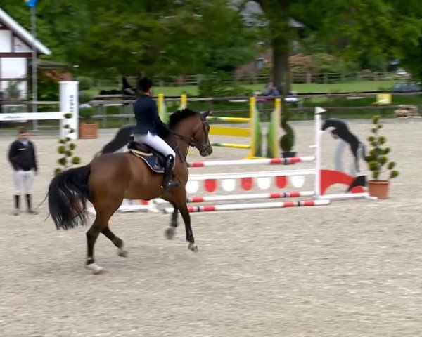 Klein Roscharden May Tour 2014