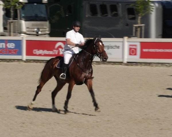 Reitturnier Babenhausen/Schw. 2025