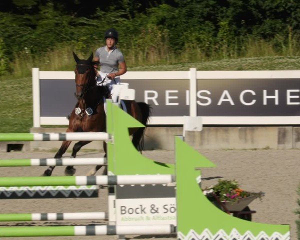 Reitturnier Babenhausen/Schw. 2025