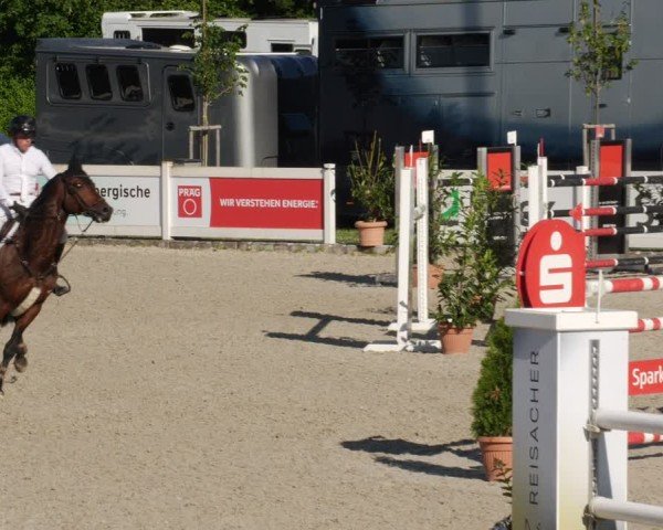 Reitturnier Babenhausen/Schw. 2025