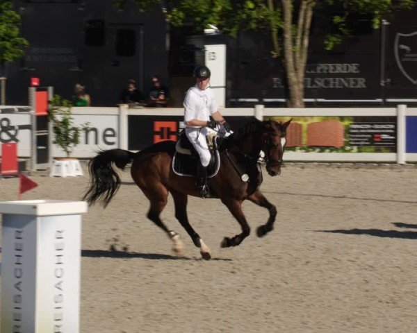 Reitturnier Babenhausen/Schw. 2025