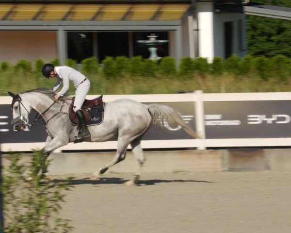 Reitturnier Babenhausen/Schw. 2025