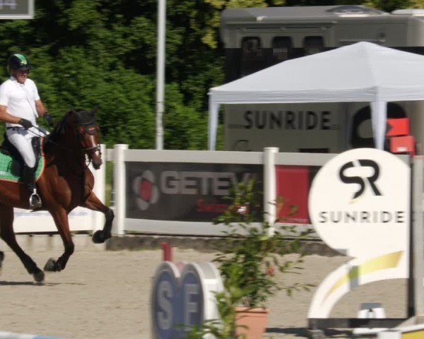 Reitturnier Babenhausen/Schw. 2025