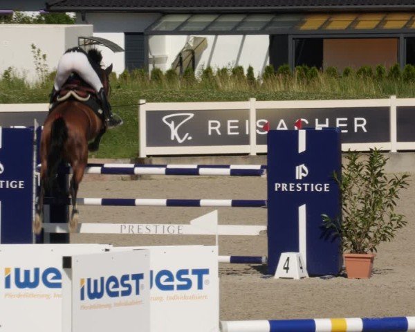 Reitturnier Babenhausen/Schw. 2025