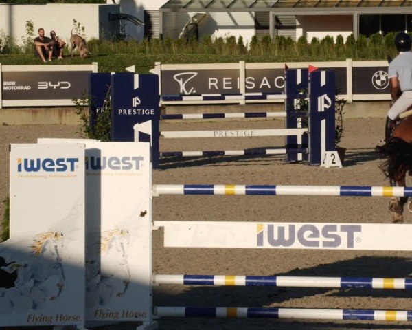 Reitturnier Babenhausen/Schw. 2025