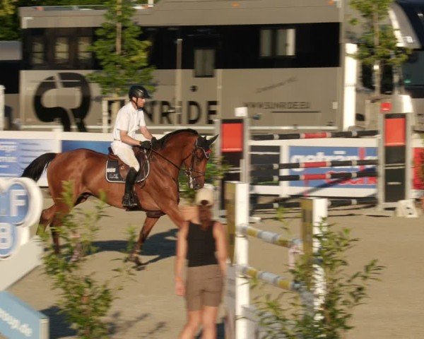 Reitturnier Babenhausen/Schw. 2025