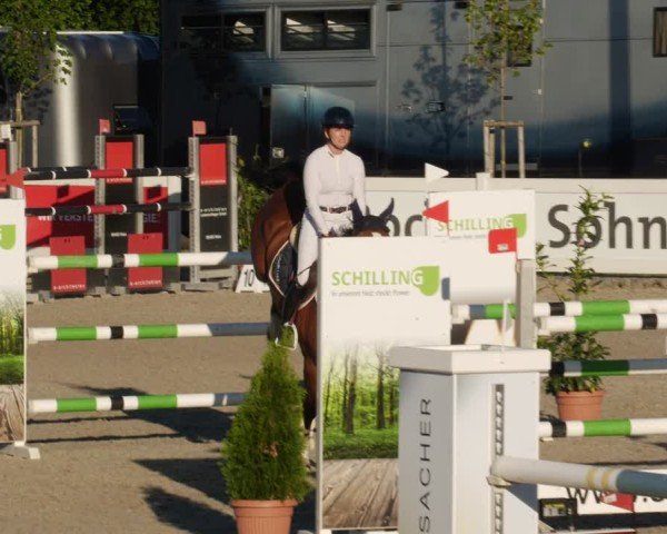 Reitturnier Babenhausen/Schw. 2025
