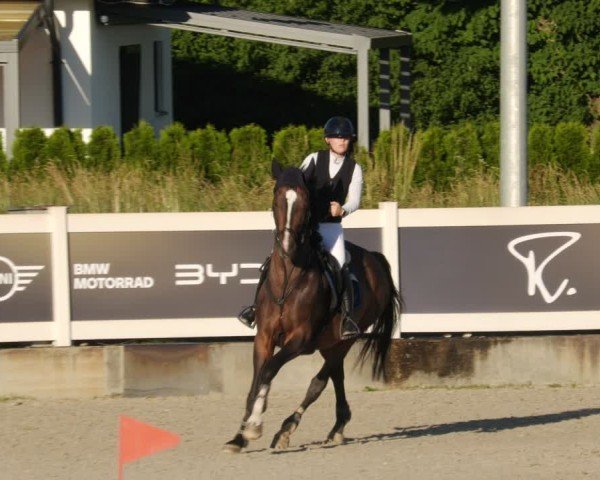 Reitturnier Babenhausen/Schw. 2025