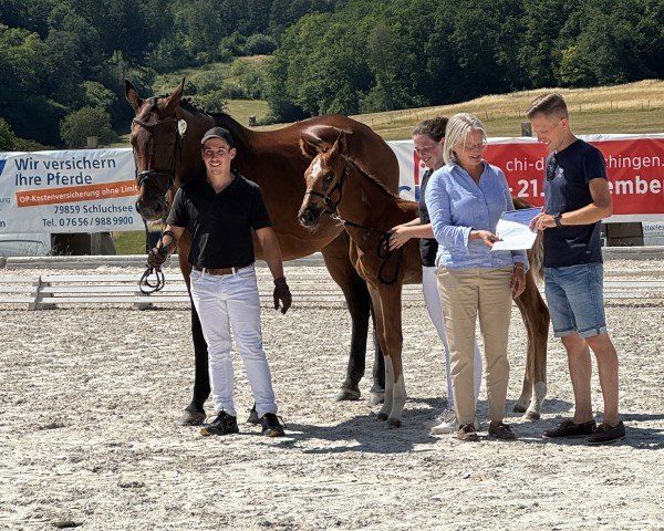 Fohlen von Jilly Milly Lx (Deutsches Sportpferd, 2025, von Jasper)