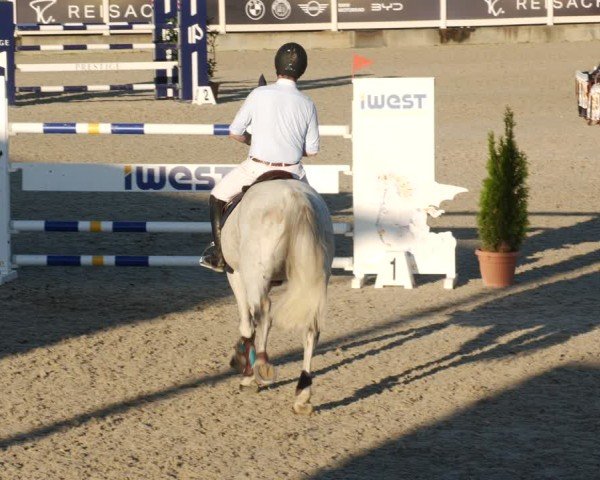 Reitturnier Babenhausen/Schw. 2025
