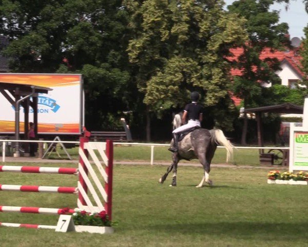 Reitturnier Schwittersdorf-Beesenstedt 2025