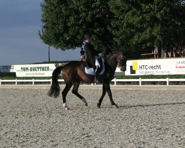 Reitturnier Dresden Gompitz 2025