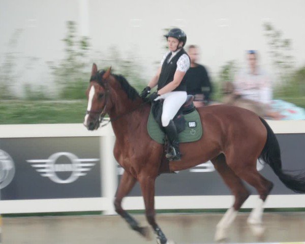 Reitturnier Babenhausen/Schw. 2025