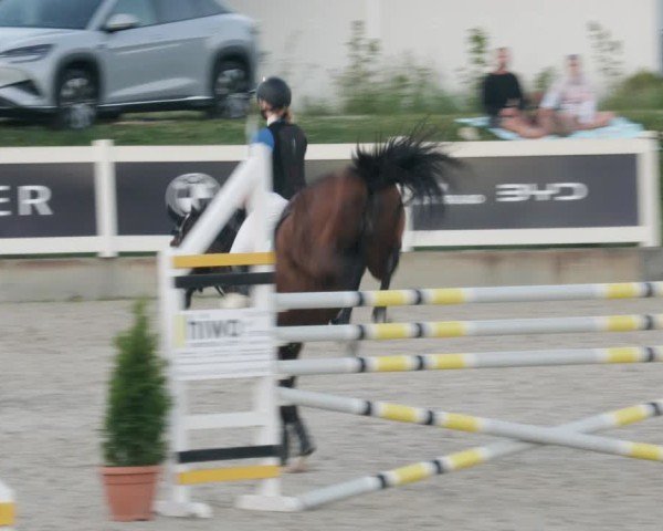 Reitturnier Babenhausen/Schw. 2025