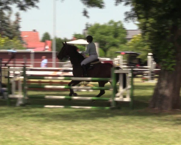 Reitturnier Schwittersdorf-Beesenstedt 2025