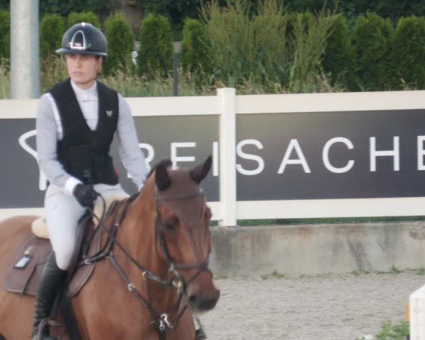 Reitturnier Babenhausen/Schw. 2025