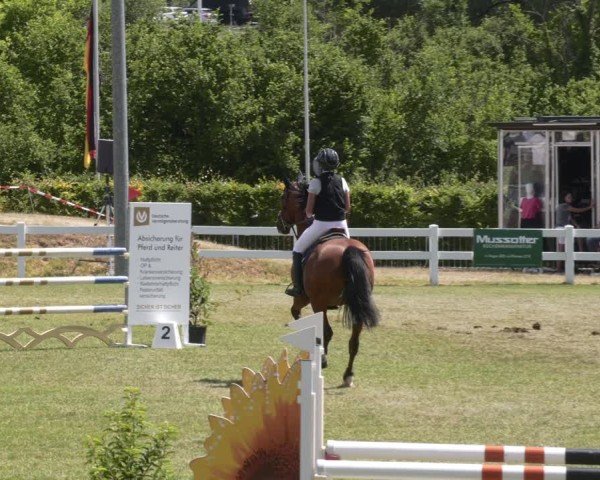 Reitturnier Aach 2025