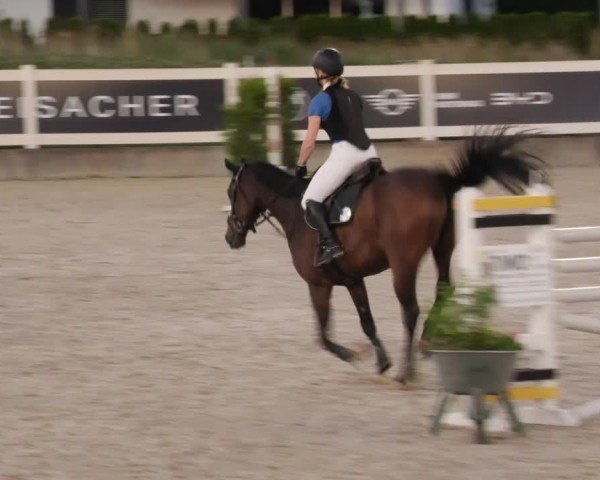 Reitturnier Babenhausen/Schw. 2025