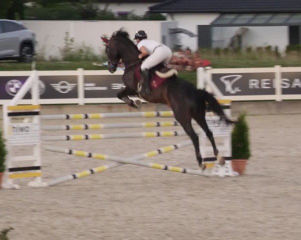 Reitturnier Babenhausen/Schw. 2025