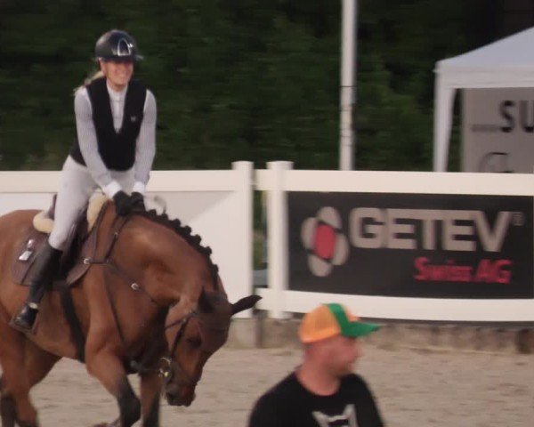 Reitturnier Babenhausen/Schw. 2025