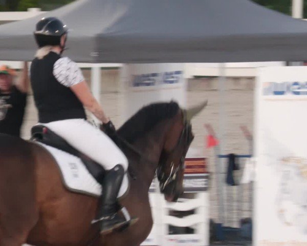 Reitturnier Babenhausen/Schw. 2025