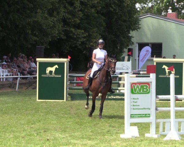 Reitturnier Schwittersdorf-Beesenstedt 2025
