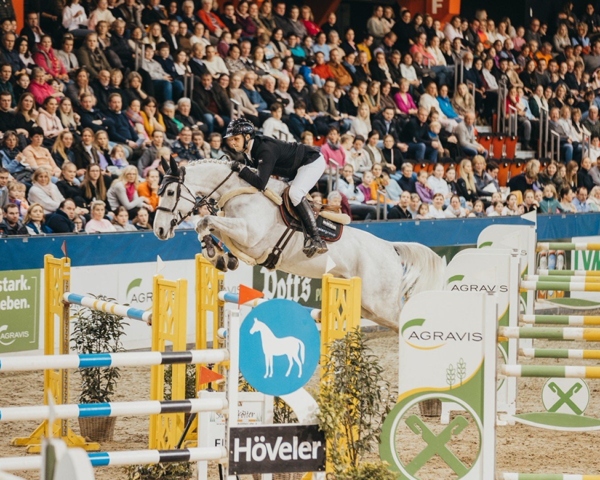 jumper Enzo de Coquerie (Selle Français, 2014, from Malito de Reve)