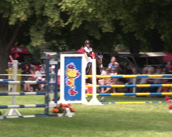 Reitturnier Schwittersdorf-Beesenstedt 2025