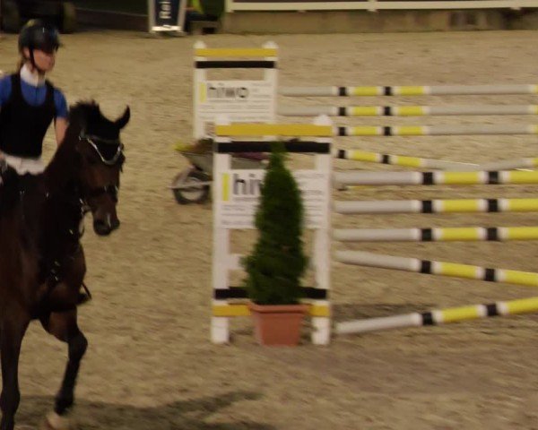 Reitturnier Babenhausen/Schw. 2025