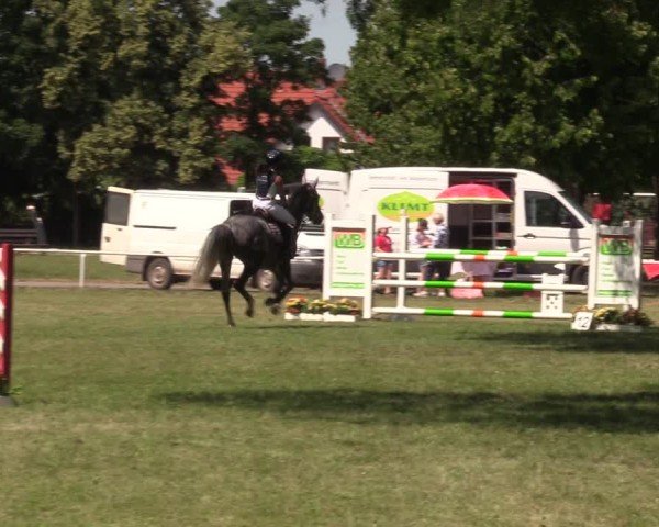 Reitturnier Schwittersdorf-Beesenstedt 2025