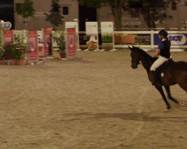 Reitturnier Babenhausen/Schw. 2025