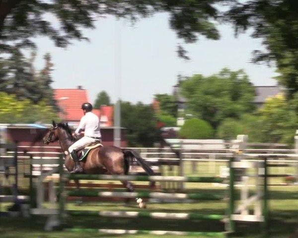 Reitturnier Schwittersdorf-Beesenstedt 2025