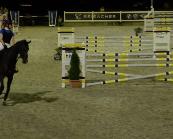 Reitturnier Babenhausen/Schw. 2025