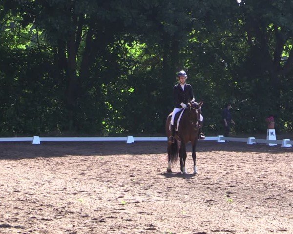 Reitturnier Schwittersdorf-Beesenstedt 2025