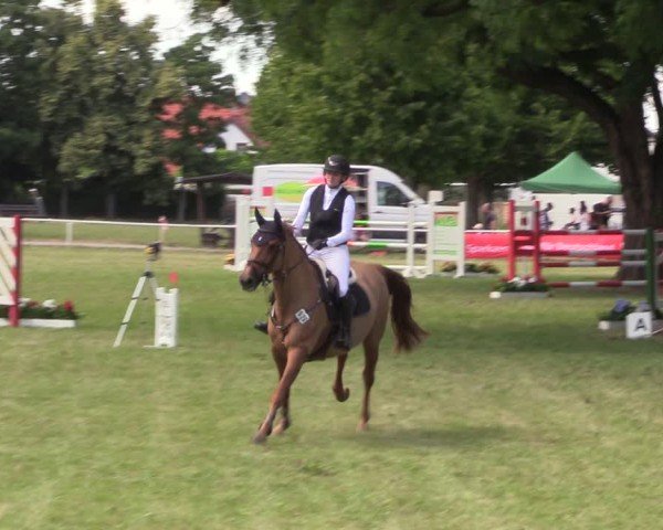 Reitturnier Schwittersdorf-Beesenstedt 2025