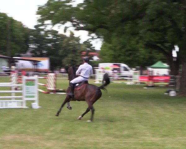 Reitturnier Schwittersdorf-Beesenstedt 2025