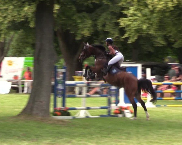 Reitturnier Schwittersdorf-Beesenstedt 2025