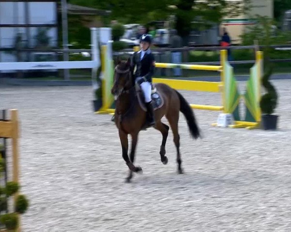 Klein Roscharden May Tour 2014