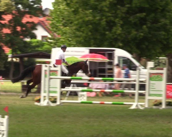 Reitturnier Schwittersdorf-Beesenstedt 2025
