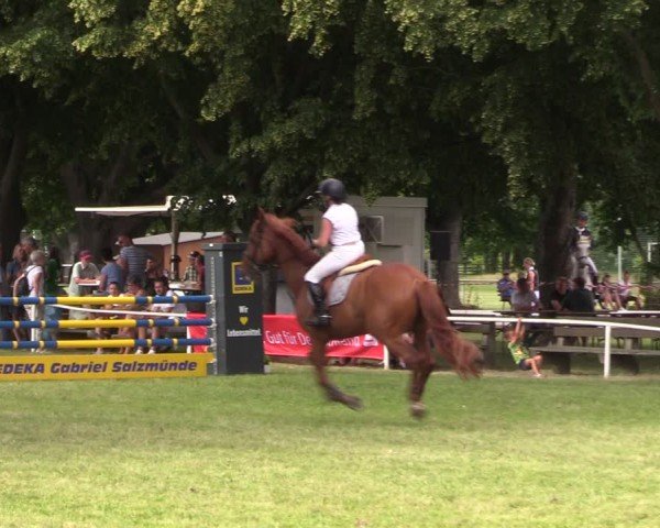Reitturnier Schwittersdorf-Beesenstedt 2025
