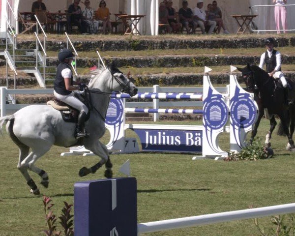 Reitturnier Aach 2025