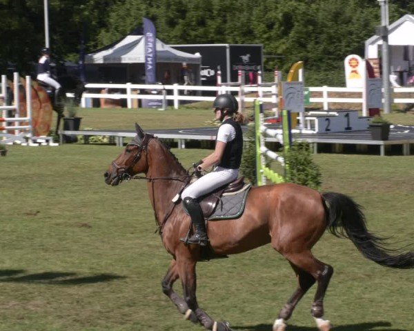 Reitturnier Aach 2025
