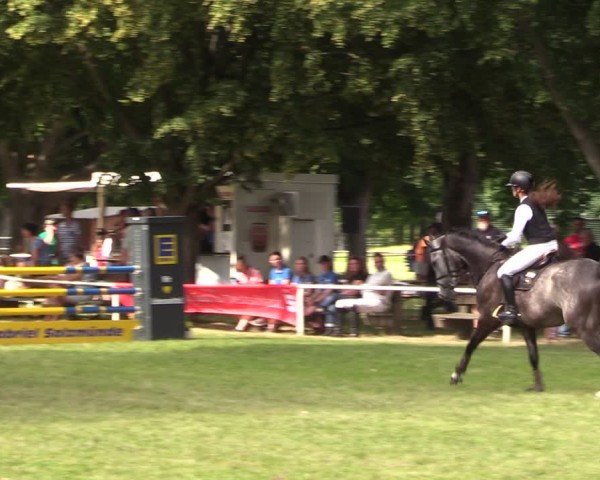 Reitturnier Schwittersdorf-Beesenstedt 2025