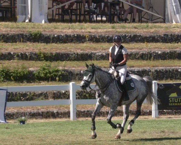 Reitturnier Aach 2025