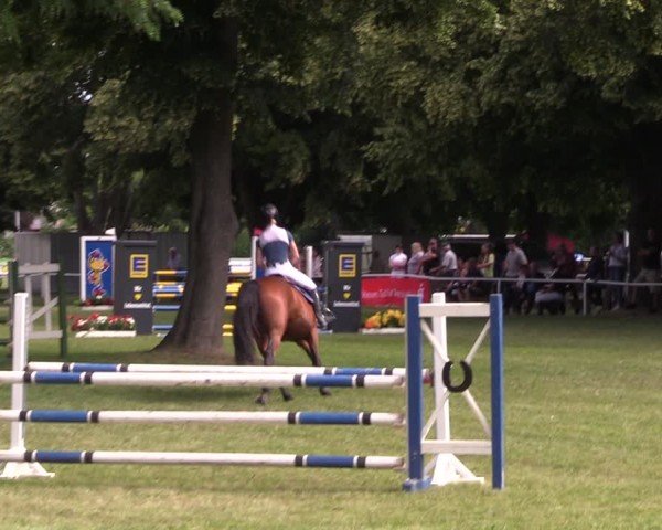 Reitturnier Schwittersdorf-Beesenstedt 2025