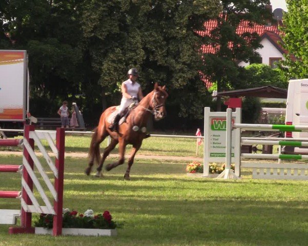 Reitturnier Schwittersdorf-Beesenstedt 2025