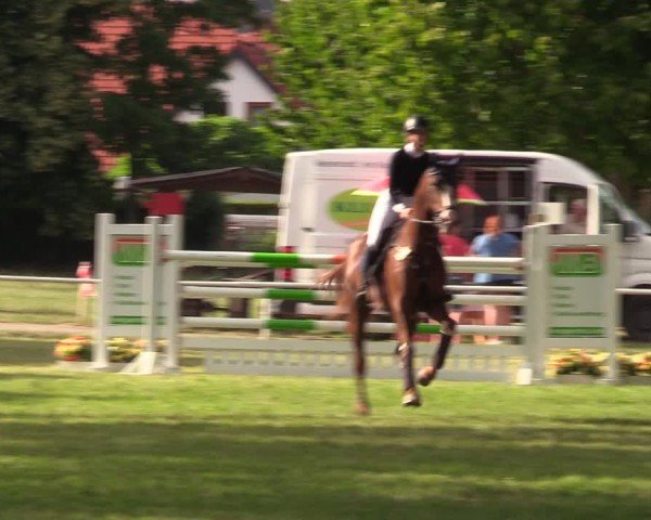 Reitturnier Schwittersdorf-Beesenstedt 2025