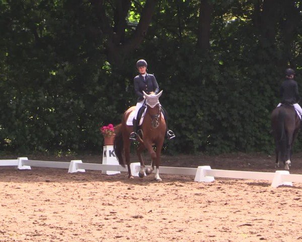 Reitturnier Schwittersdorf-Beesenstedt 2025