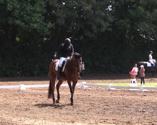 Reitturnier Schwittersdorf-Beesenstedt 2025