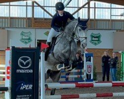 horse Lexify (unknown, 2017)